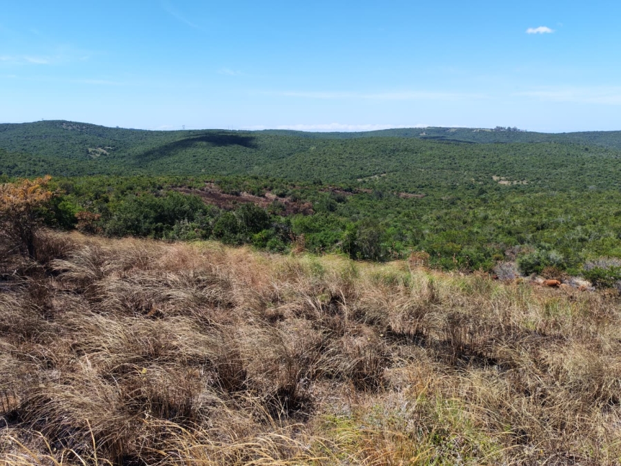 Commercial Property for Sale in Komga Rural Eastern Cape
